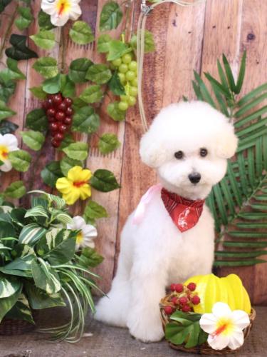 20230809ちくわくん